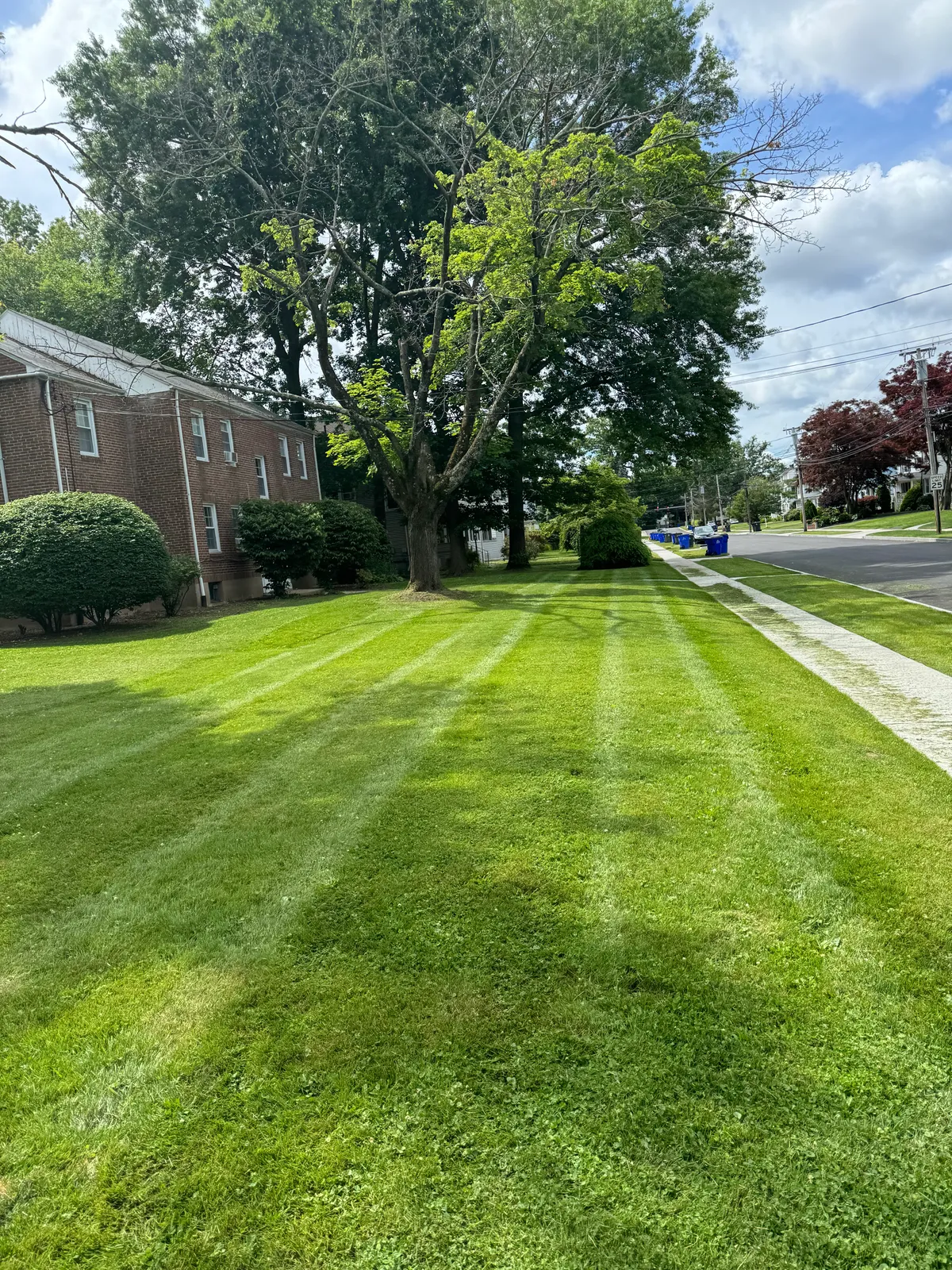 Mowing — Stone & Scappes, Hartford County CT