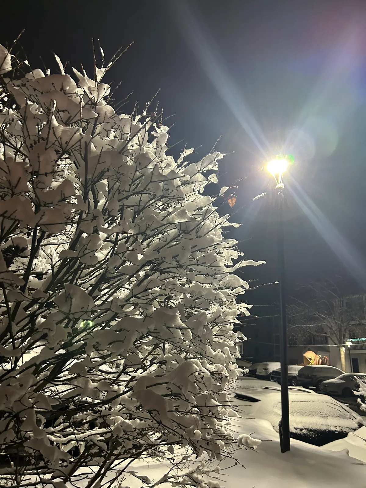Snow Cover — Stone & Scappes, Hartford County CT