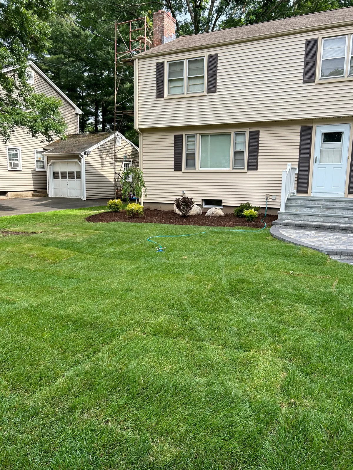 Freshly installed green lawn and planting beds