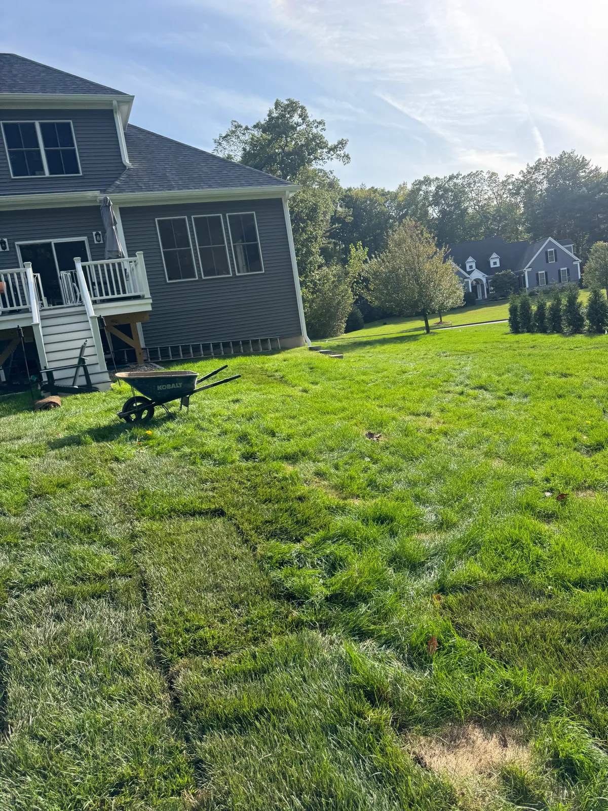Sod — Stone & Scappes, Hartford County CT
